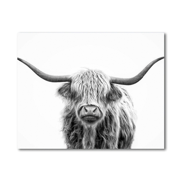 Malen-nach-Zahlen-Set „Highland Cow“