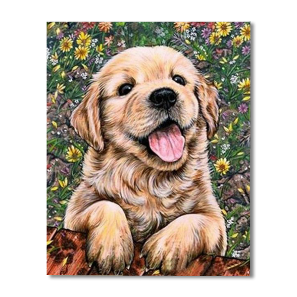 Dog Paint By Numbers Painting Kit