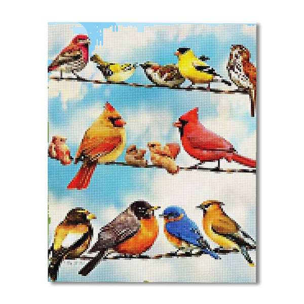 Colorful Birds Paint By Numbers Painting Kit