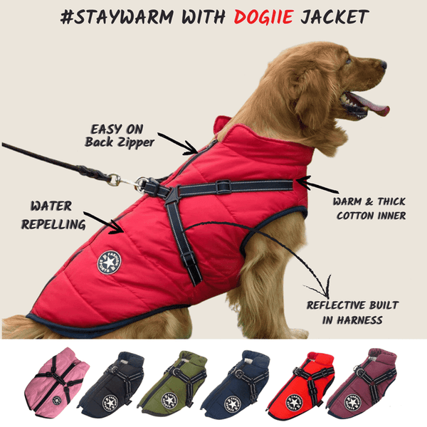 🔥Waterproof Winter Dog Jacket with Built-in Harness