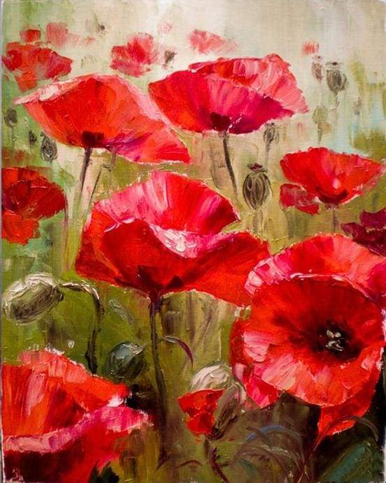 Paint by Numbers - Field of Poppies