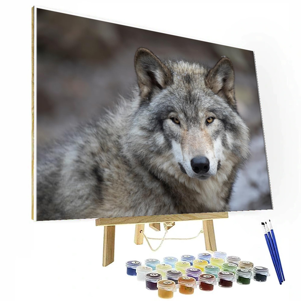 Wolf Paint By Number Kits On Canvas