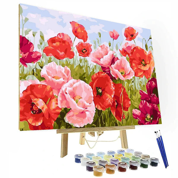 Vibrant Poppy Field Paint By Numbers Kit