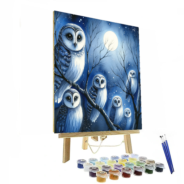 Starry Night Owls - DIY Painting By Numbers Kit