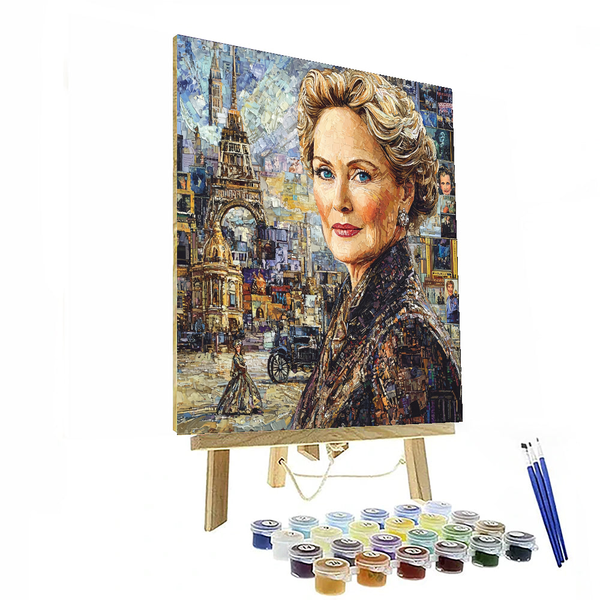 Meryl Streep: The Chameleon's Artistry in Hollywood - DIY Painting By Numbers Kit