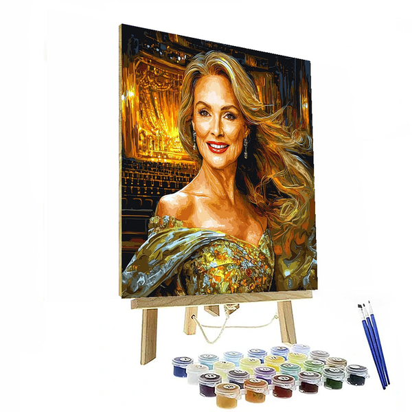 Meryl Streep: The Ever-Evolving Enigma of Artistry - DIY Painting By Numbers Kit