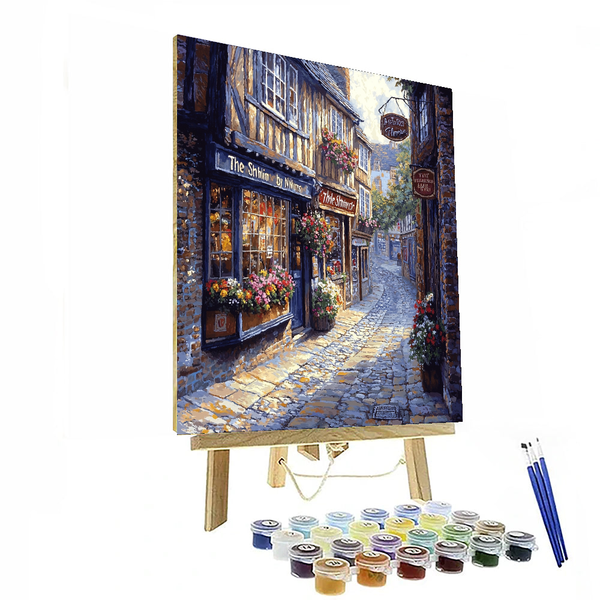 The Shambles - York, England - DIY Painting By Numbers Kit