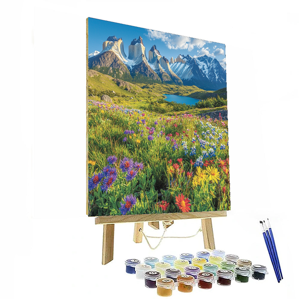 Torres del Paine National Park - DIY Painting By Numbers Kit