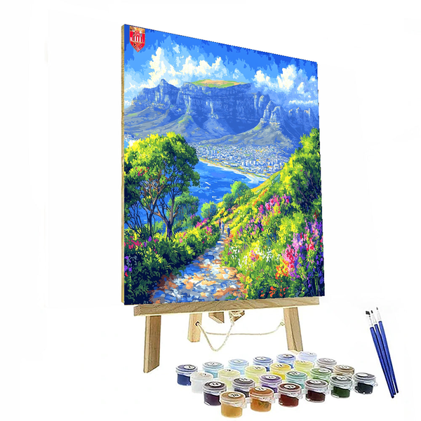 Table Mountain - DIY Painting By Numbers Kit